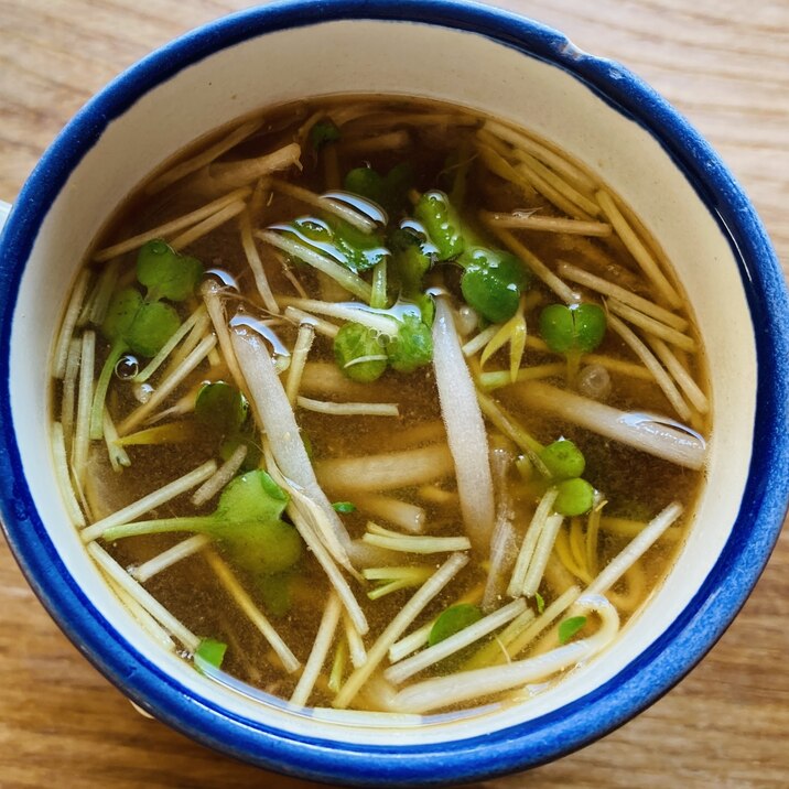 もやしとかいわれの味噌汁